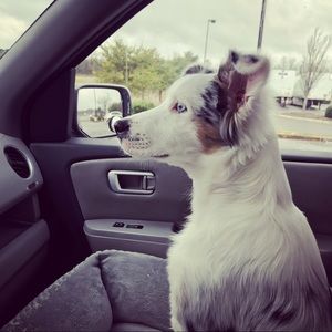 Meet your Posher, Graham